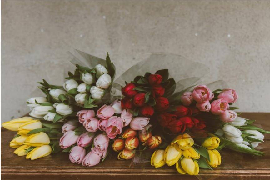 Matériel floral