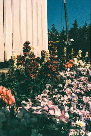 Décor mariage