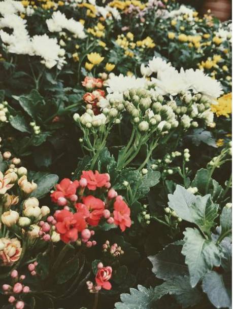 Installation florale 3