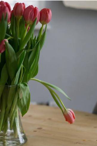 Décor d'allée fleuri